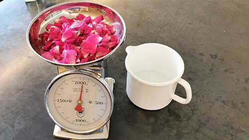 Rose-Lavendel-Sirup