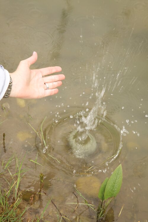 Dango Teich