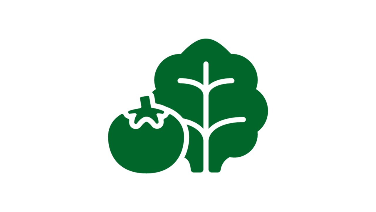 Grünes Piktogramm-Icon, das eine Tomate und ein großes Salatblatt symbolisiert.