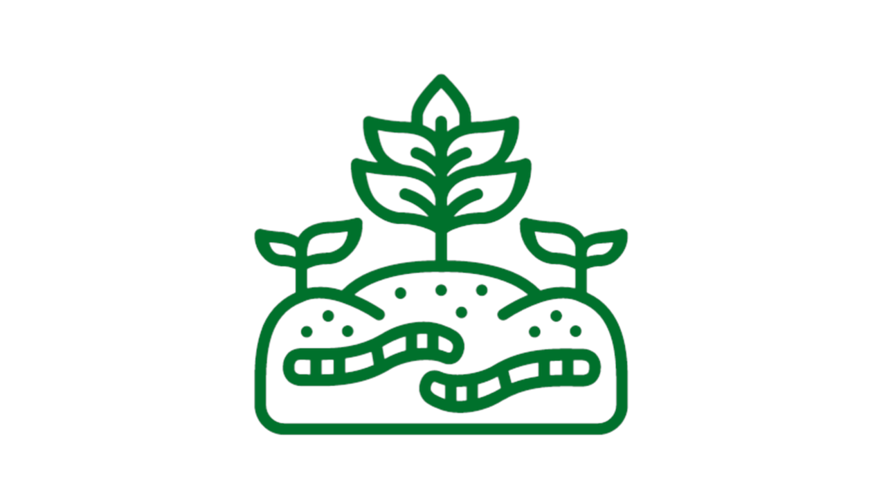 Grünes Icon mit Regenwürmern in der Erde unter einer wachsenden Pflanze.
