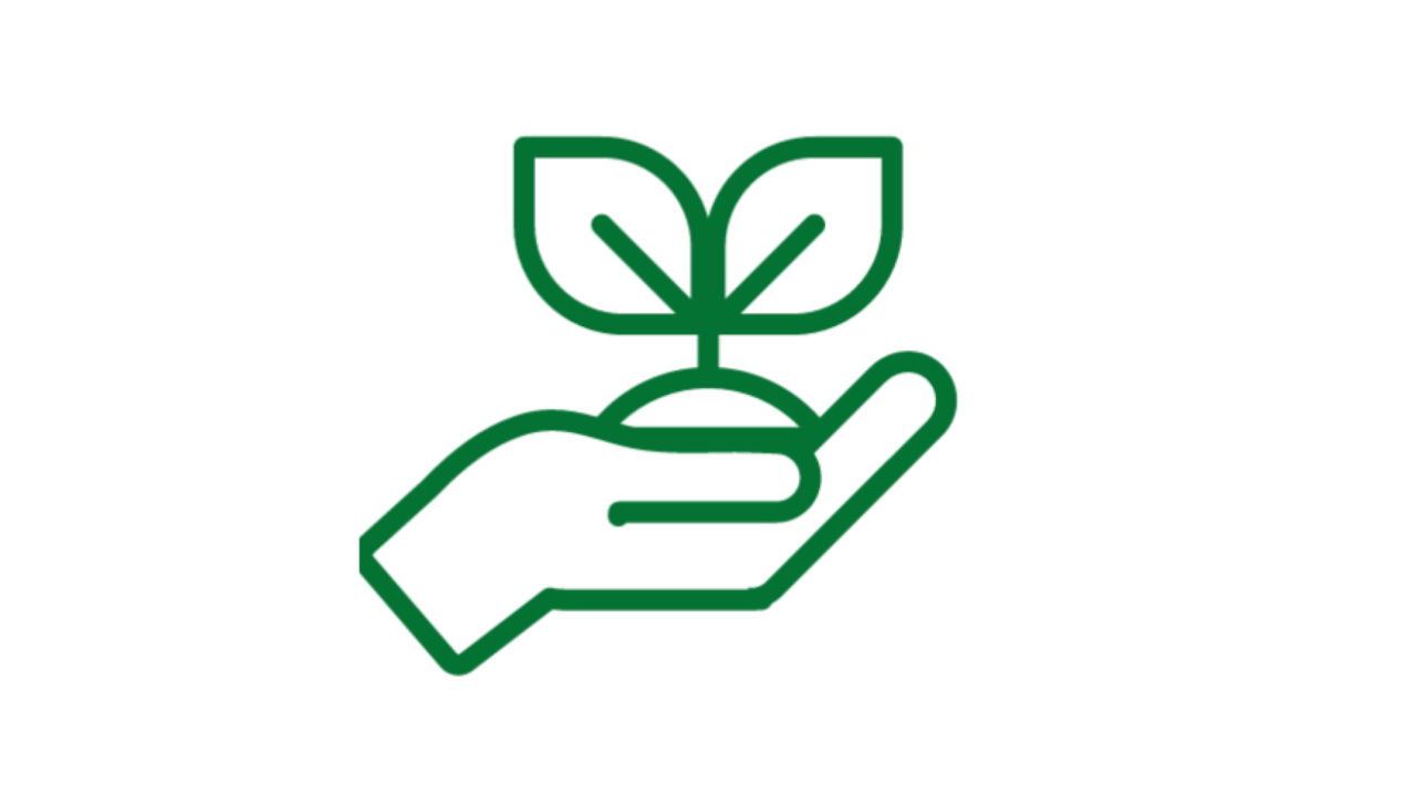 Grünes Icon-Symbol einer Hand, die behutsam einen kleinen Pflanzenkeimling hält.