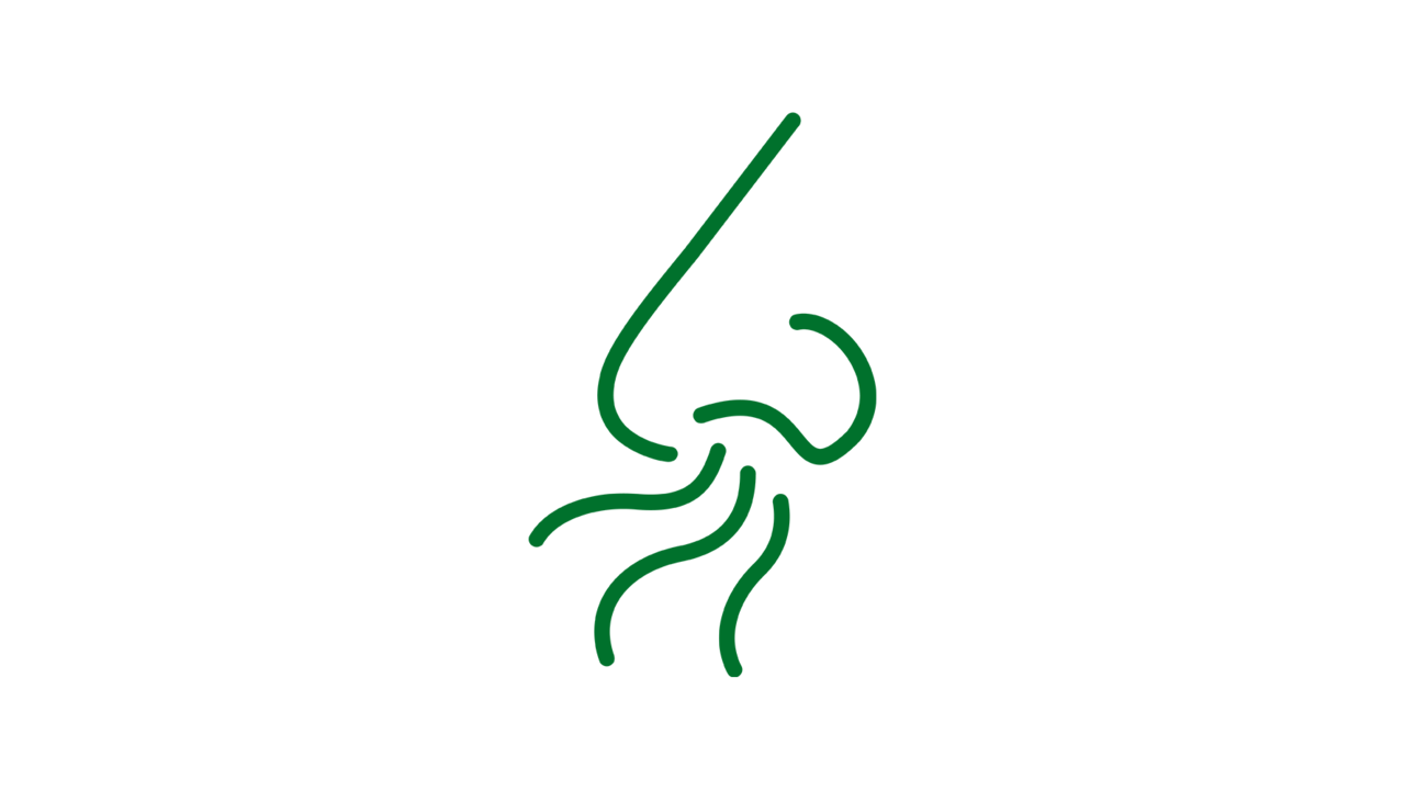 Grünes Icon-Symbol einer Nase mit Duft- beziehungsweise Geruchswellen.