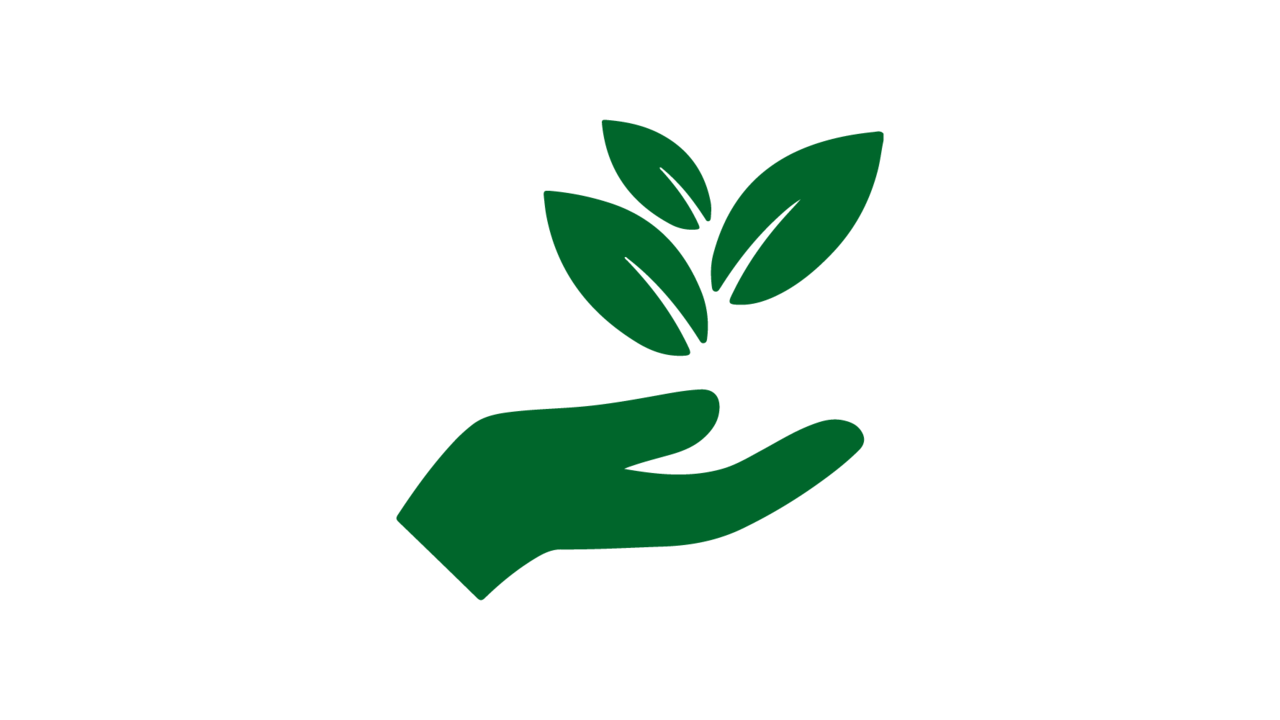Grünes Icon-Symbol einer Hand, die schützend unter einer Pflanze mit drei Blättern liegt.