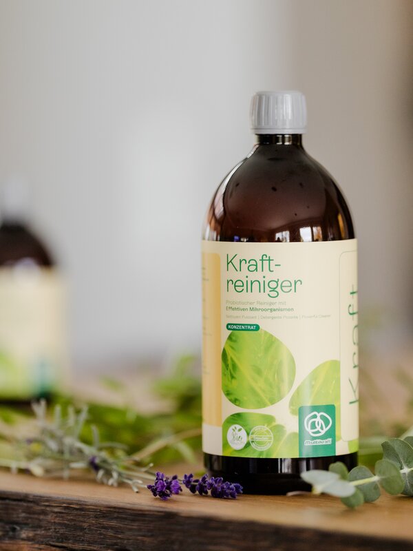 Eine braune Flasche mit biologischem Reiniger steht dekorativ auf einem Holztisch.