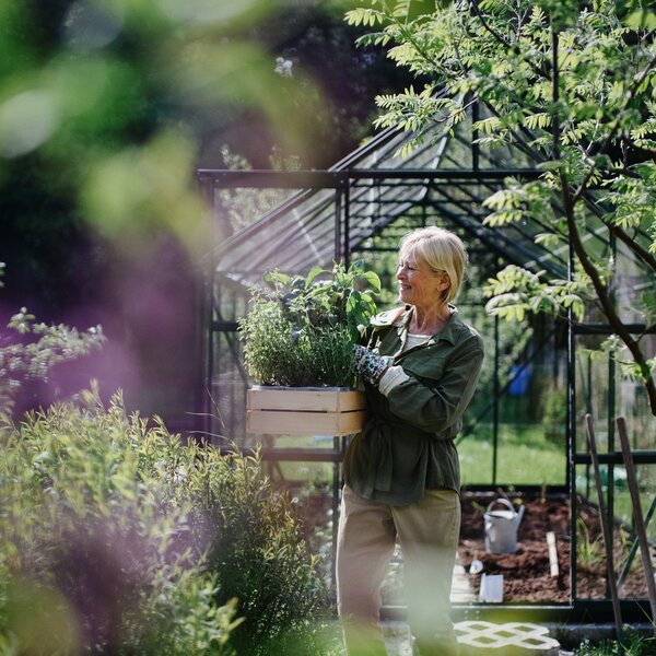 Eine Person arbeitet im sonnigen Garten vor einem Glashaus.