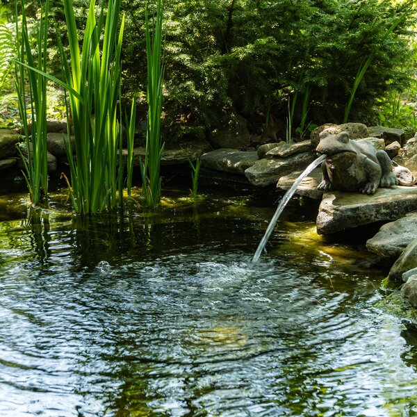 Ein kleiner Wasserspeier plätschert friedlich in einen naturnah angelegten Gartenteich.
