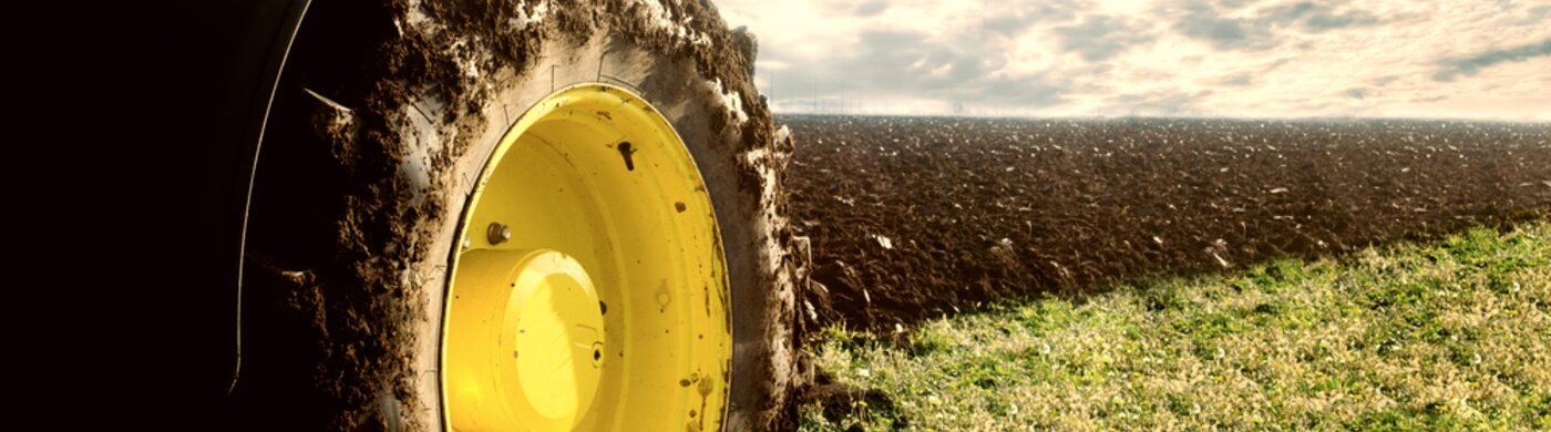 headerImage